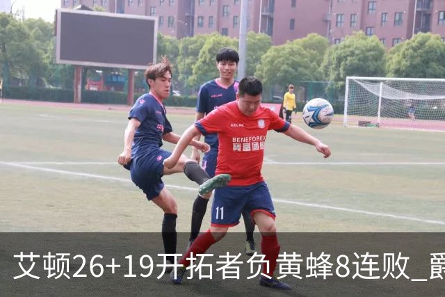 艾顿26+19开拓者负黄蜂8连败 爵士屠刺止5连败